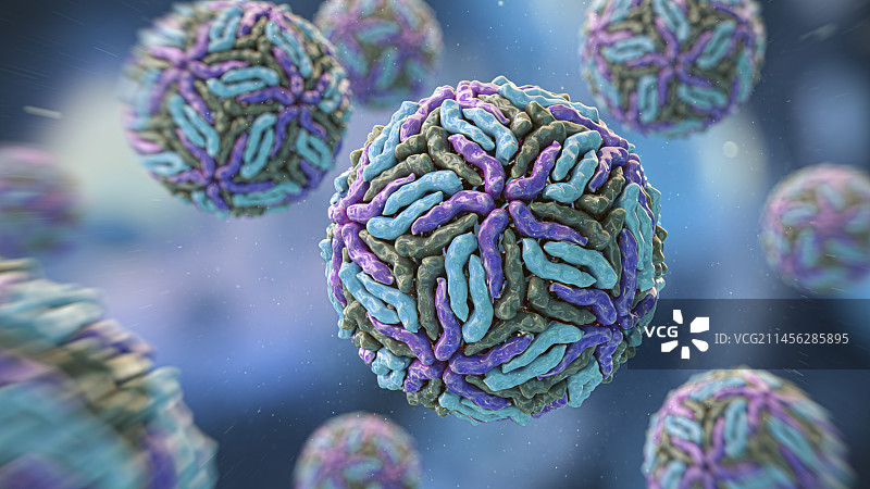 黄病毒科病毒图片素材