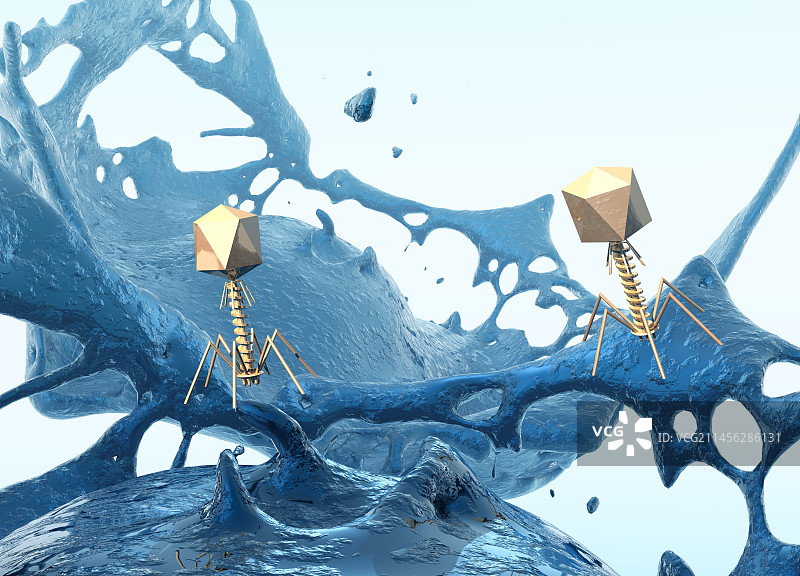 噬菌体，图示图片素材