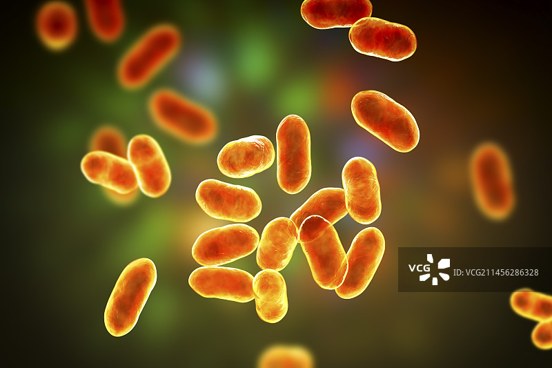 普雷沃菌细菌，图示图片素材