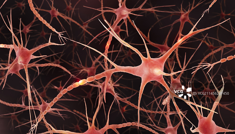 大脑神经元插图图片素材