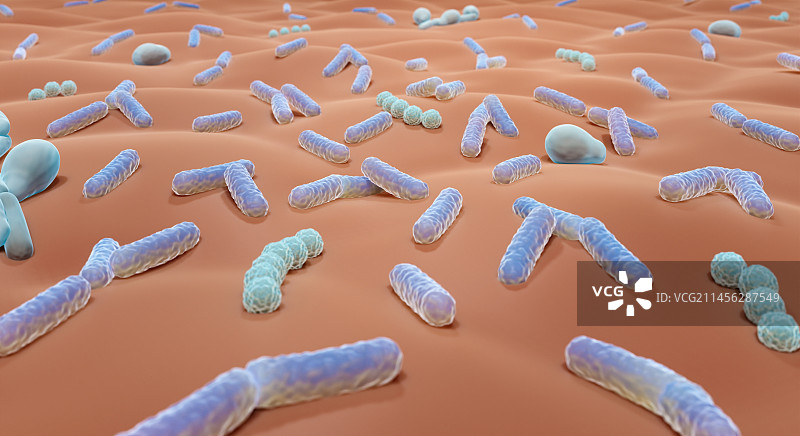 皮肤微生物群插图图片素材