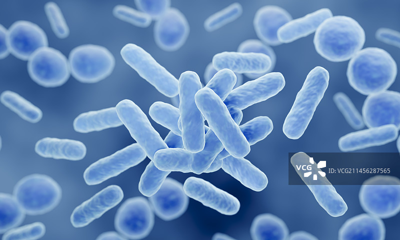 益生菌细菌插画图片素材