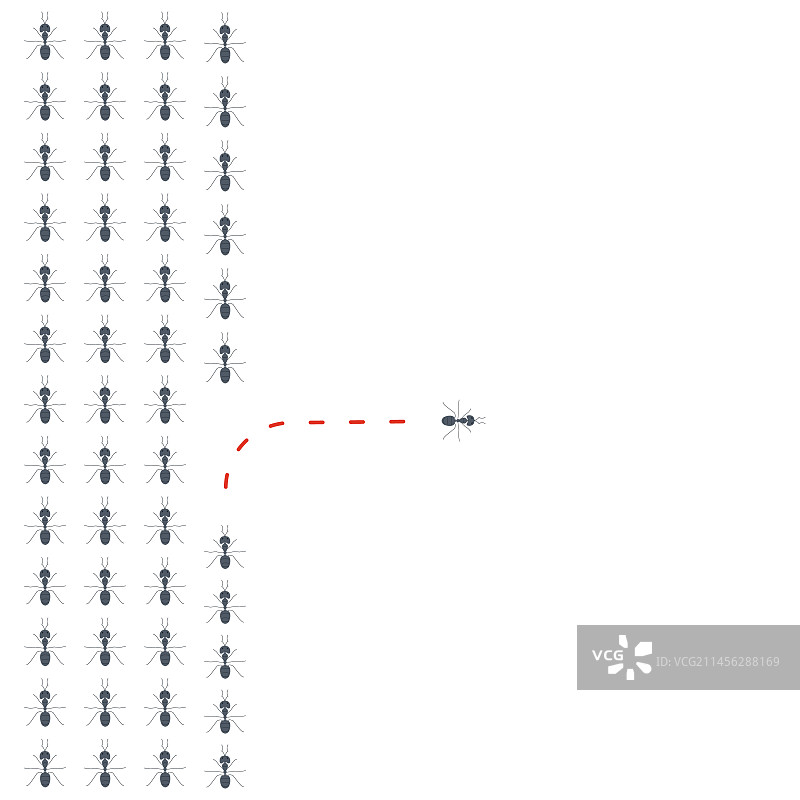 蚂蚁群概念图图片素材