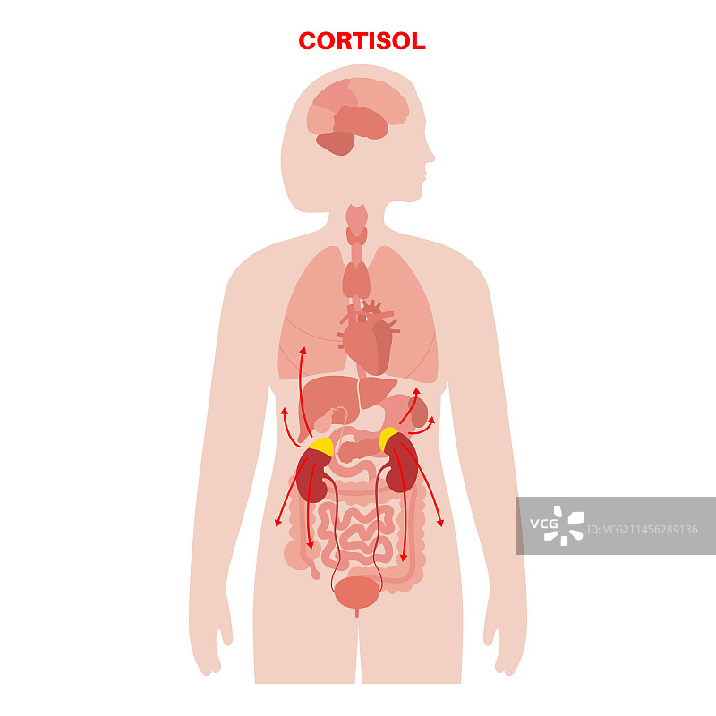 压力反应，图示图片素材