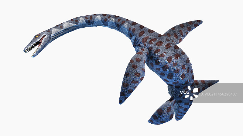 阿滕伯勒龙蛇颈龙插图图片素材