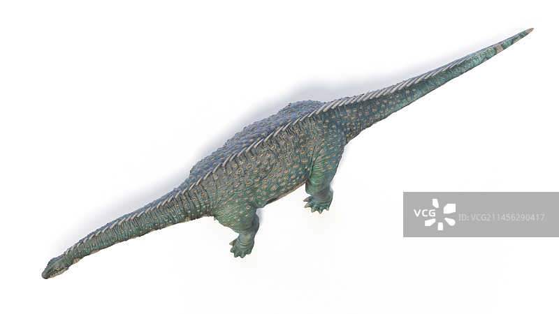 巴拉帕龙恐龙插画图片素材