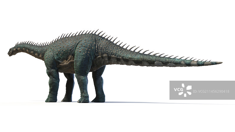 巴拉帕龙恐龙插画图片素材