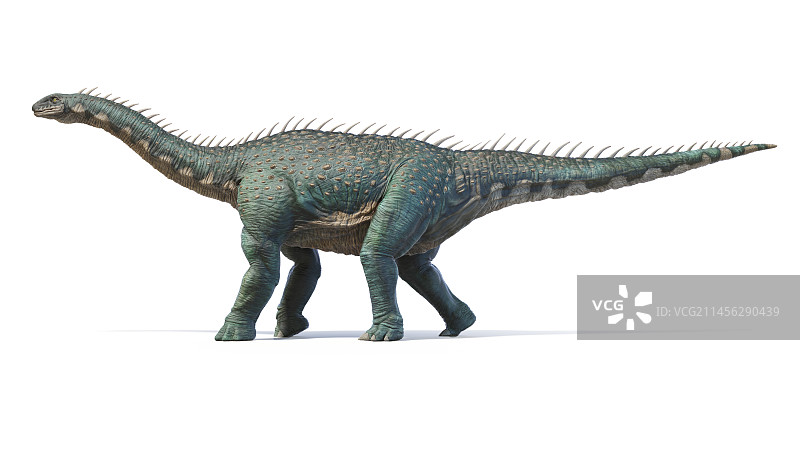 巴拉帕龙恐龙插画图片素材