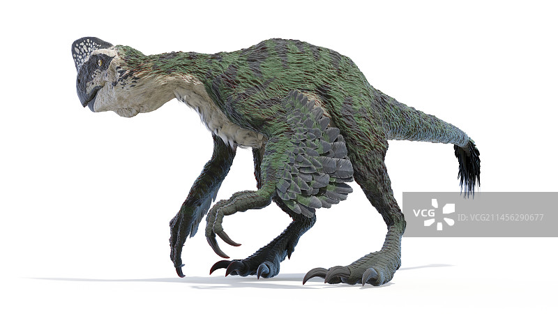 窃蛋龙插画图片素材