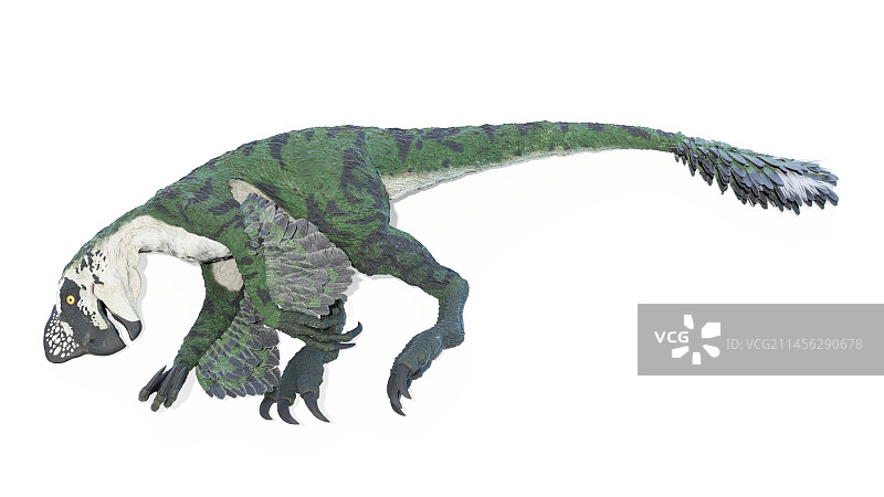 窃蛋龙插画图片素材