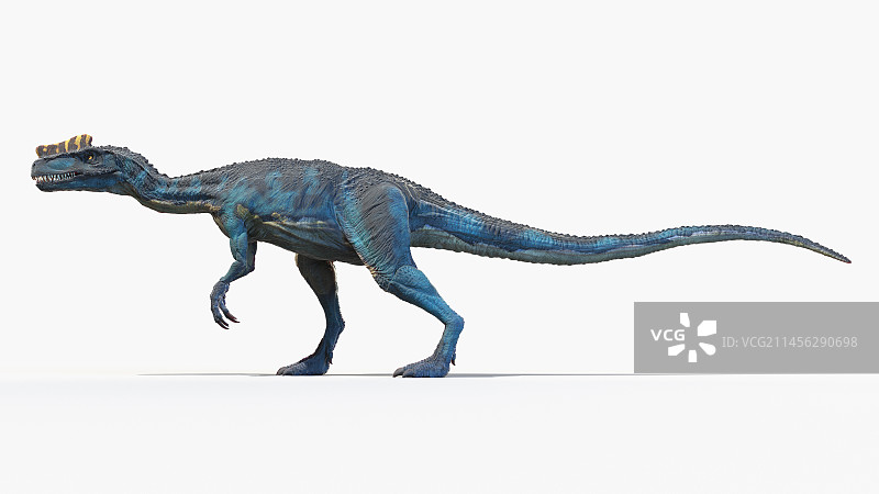 角鼻龙恐龙插画图片素材