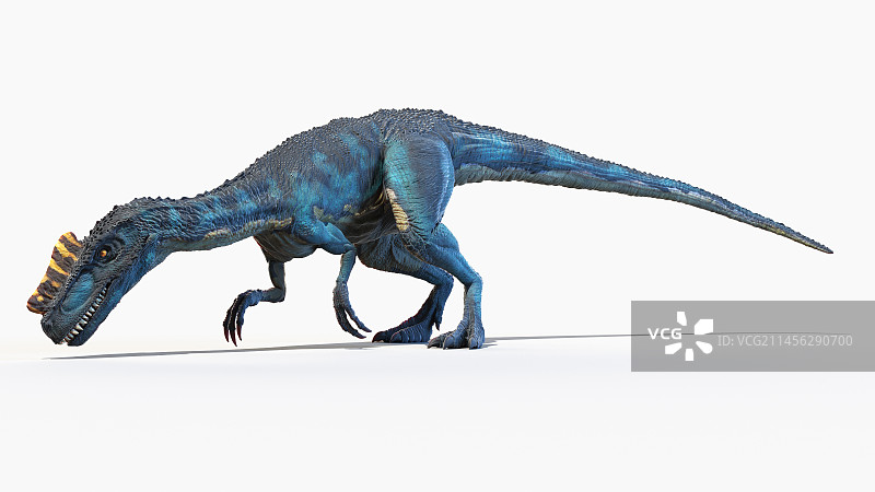 角鼻龙恐龙插画图片素材