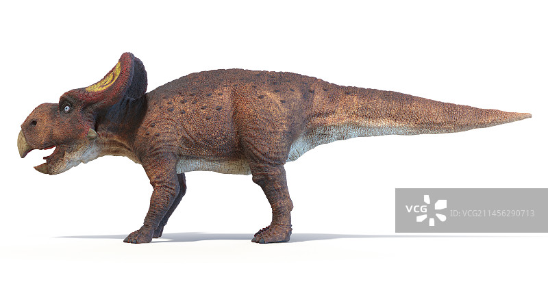 原角龙恐龙插图图片素材