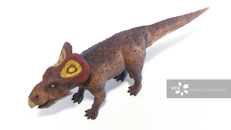 原角龙恐龙插图图片素材