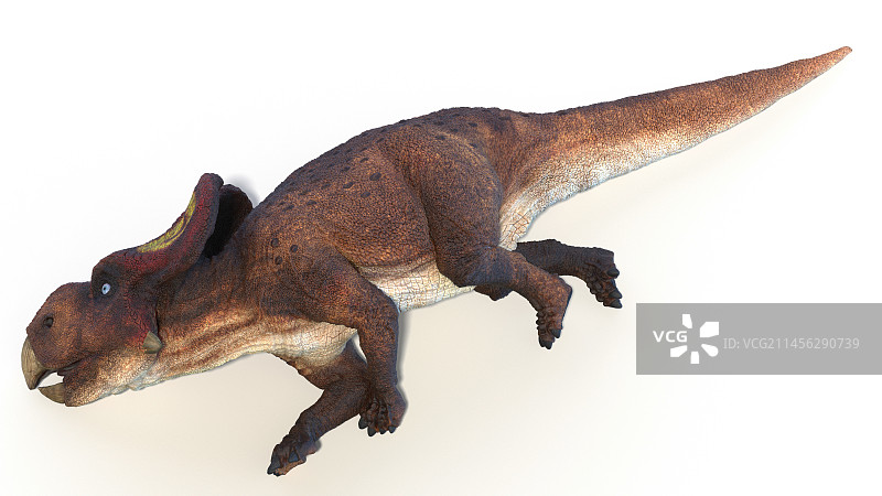 原角龙恐龙插图图片素材