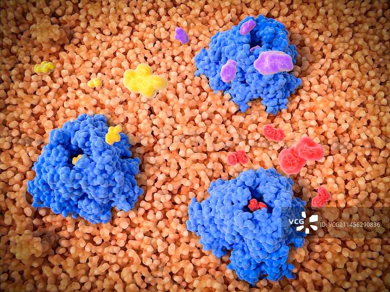 排出抗生素的多重耐药外排泵分子模型图片素材