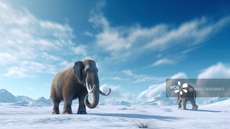 猛犸象插画图片素材