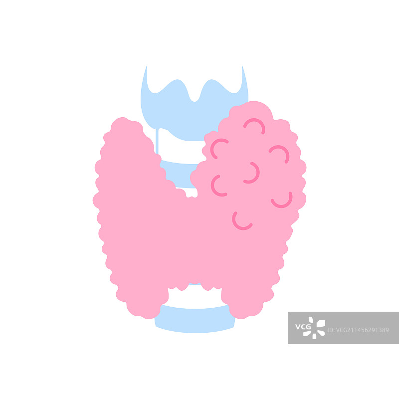 甲状腺肿大插画图片素材