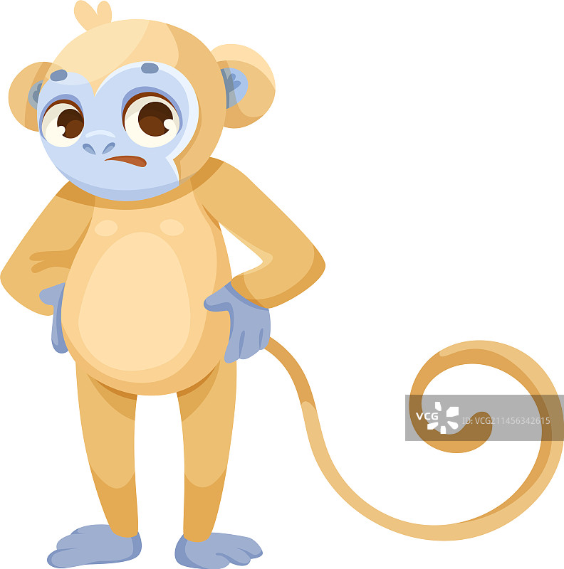 快乐的卷尾猴子图片素材