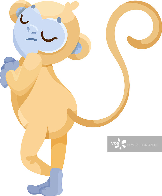 快乐的卷尾猴子图片素材