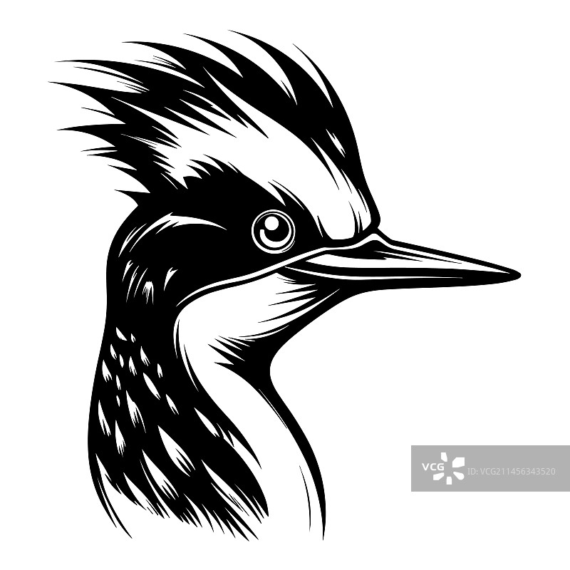啄木鸟轮廓图片素材