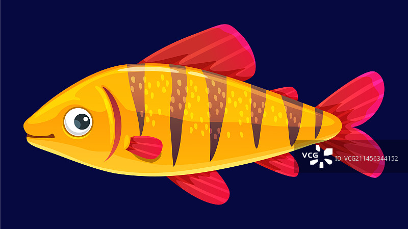 卡通水族馆鱼类孤立虎鲨图片素材