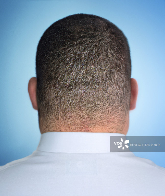 男人头部图片素材