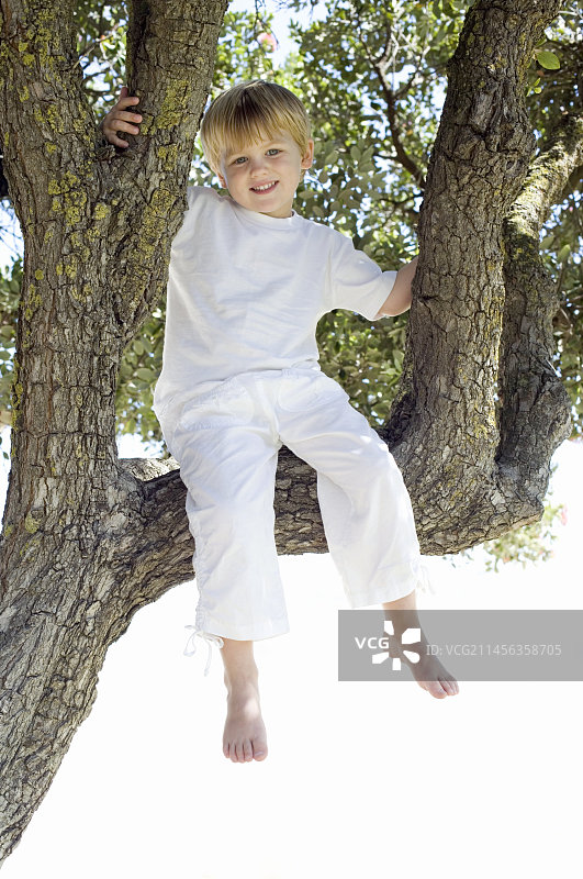 男孩坐在树上图片素材