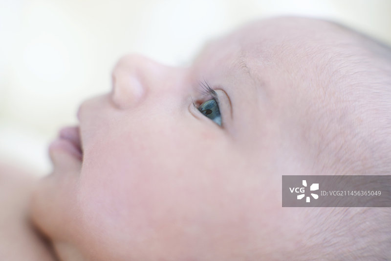 新生女婴图片素材