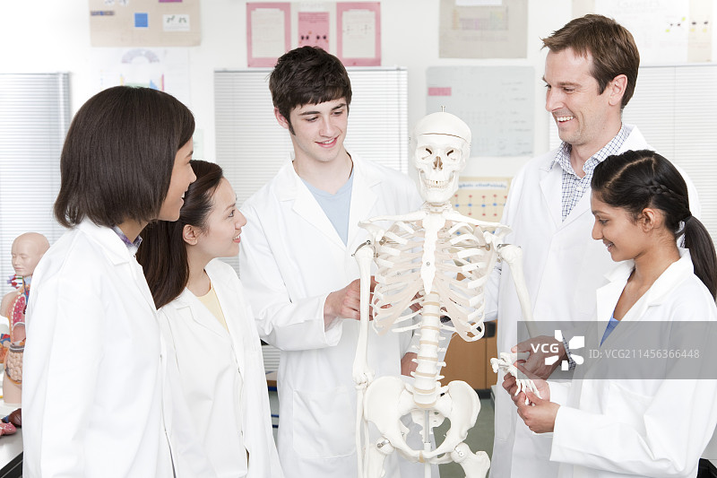 生物课图片素材