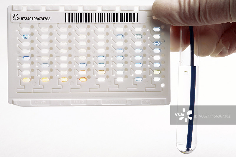 细菌识别卡图片素材