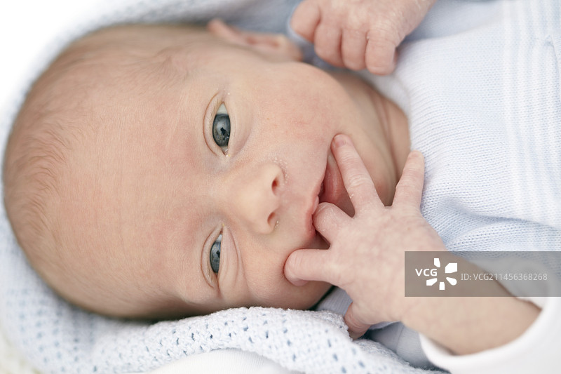 两周大的男婴图片素材