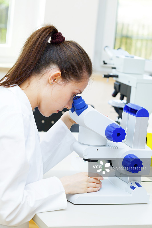 使用显微镜的实验室助理图片素材