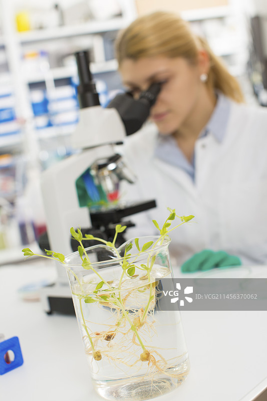 生物研究图片素材