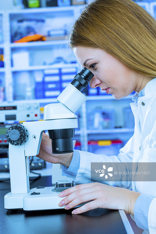 实验室技术员使用显微镜图片素材