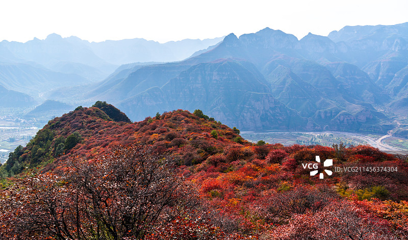 秋天的山上红叶图片素材