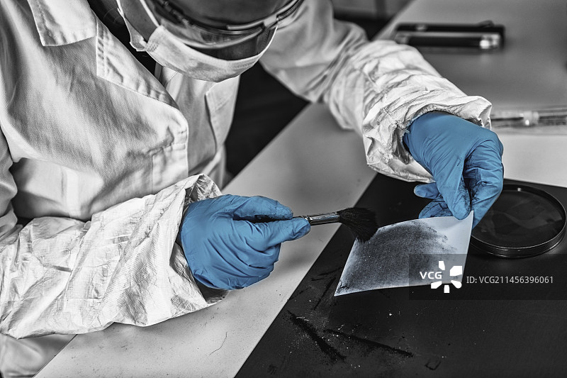 在法医学实验室工作的法医专家图片素材