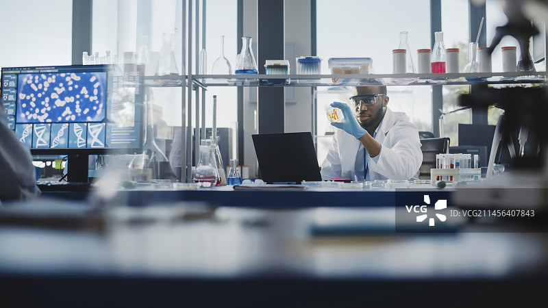 在实验室工作的科学家团队图片素材
