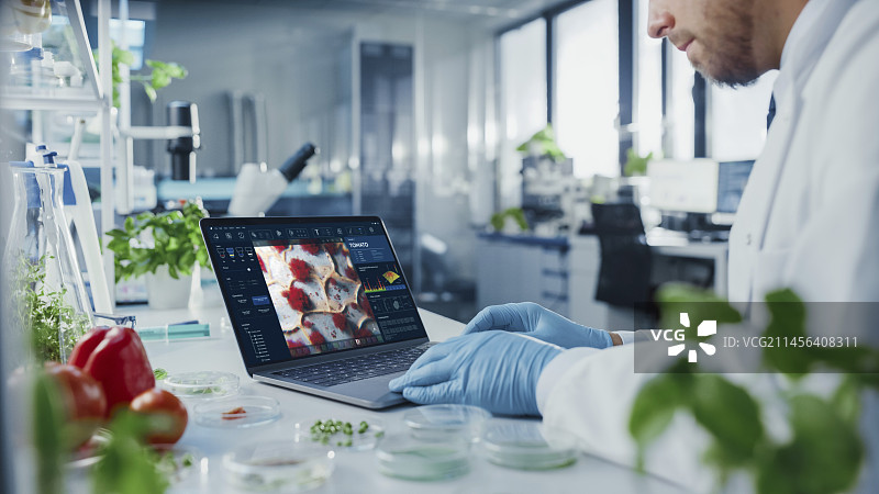 科研人员使用笔记本电脑工作图片素材