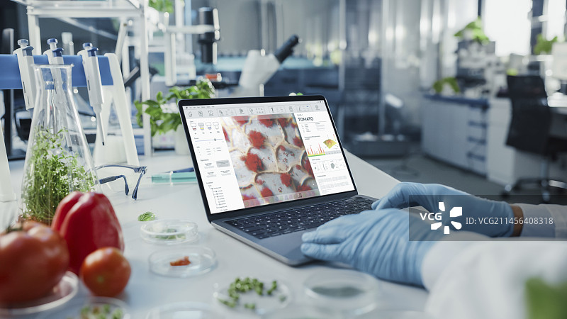 科研人员使用笔记本电脑工作图片素材