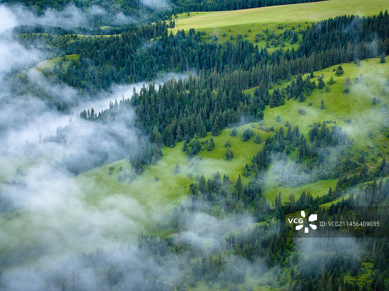 四川甘孜玉科草原风光图片素材