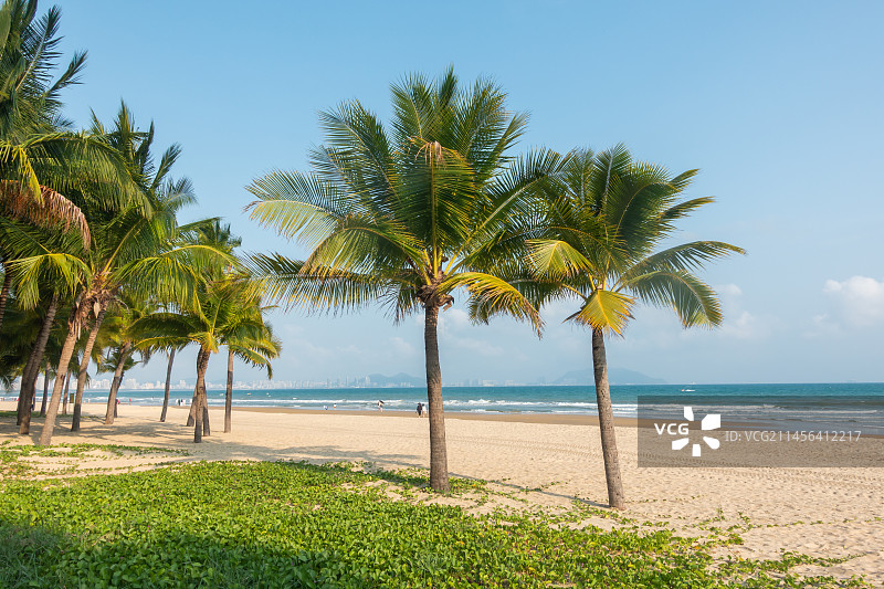 海南省三亚市三亚湾椰梦长廊图片素材