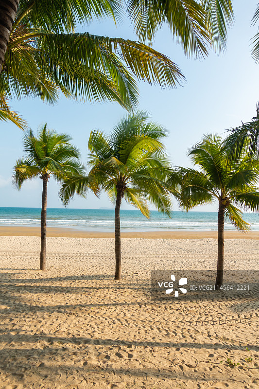 海南省三亚市三亚湾椰梦长廊图片素材