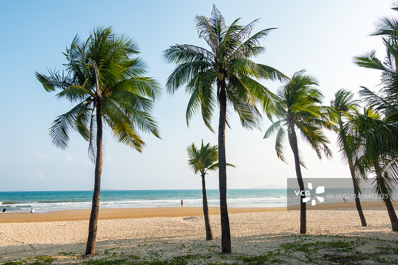 海南省三亚市三亚湾椰梦长廊图片素材