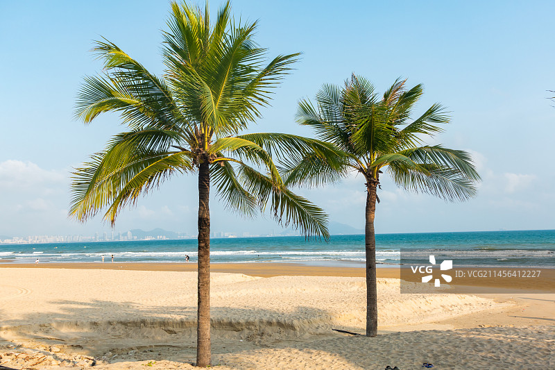 海南省三亚市三亚湾椰梦长廊图片素材