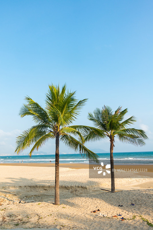 海南省三亚市三亚湾椰梦长廊图片素材