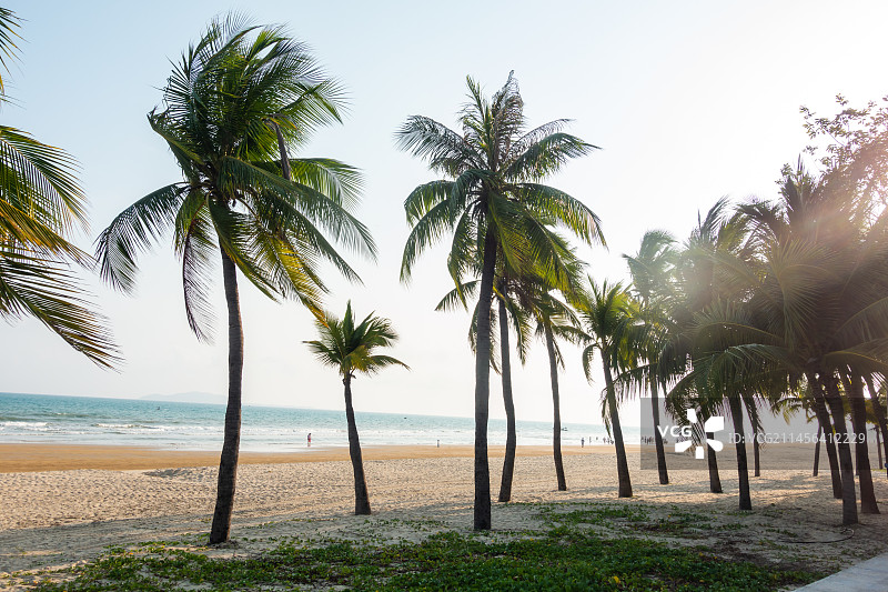 海南省三亚市三亚湾椰梦长廊图片素材