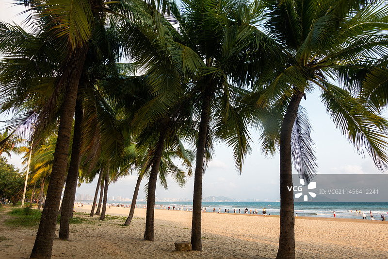 海南省三亚市三亚湾椰梦长廊图片素材