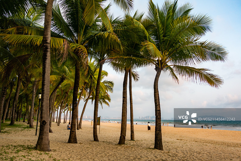 海南省三亚市三亚湾椰梦长廊图片素材