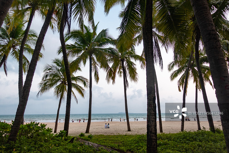 海南省三亚市三亚湾椰梦长廊图片素材